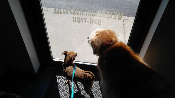 Integrative Veterinary Therapies, P.C. 1