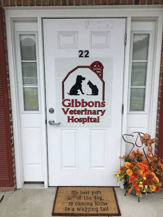 Gibbons Matthew DVM 2