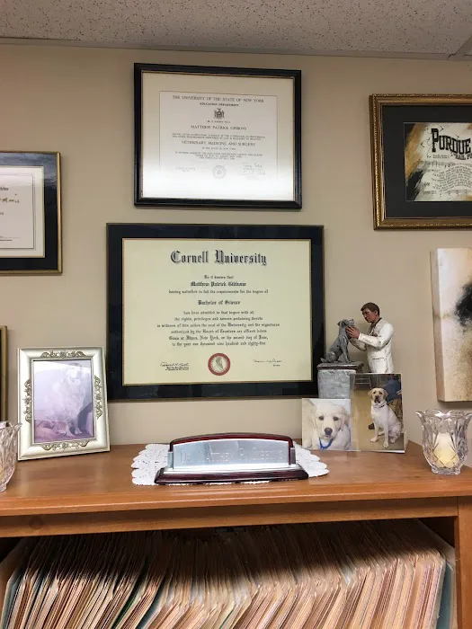 Gibbons Veterinary Hospital 9