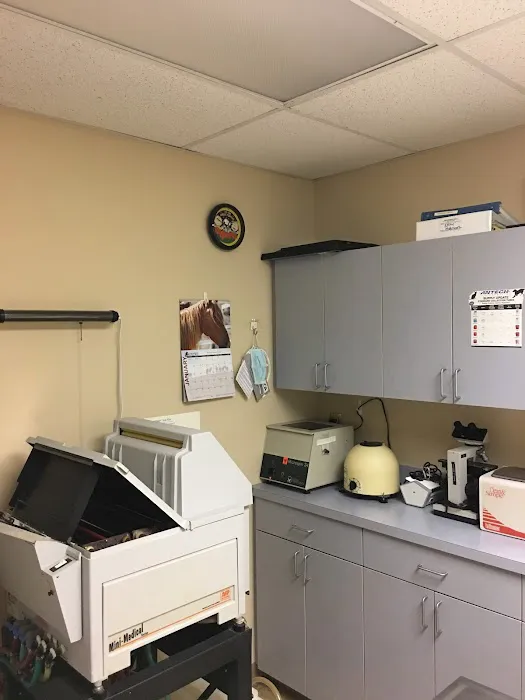Gibbons Veterinary Hospital 6