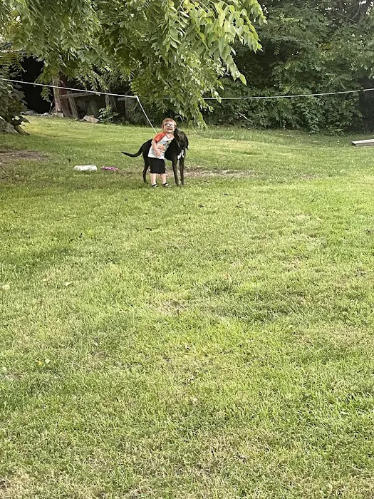Saltville Animal Clinic 12
