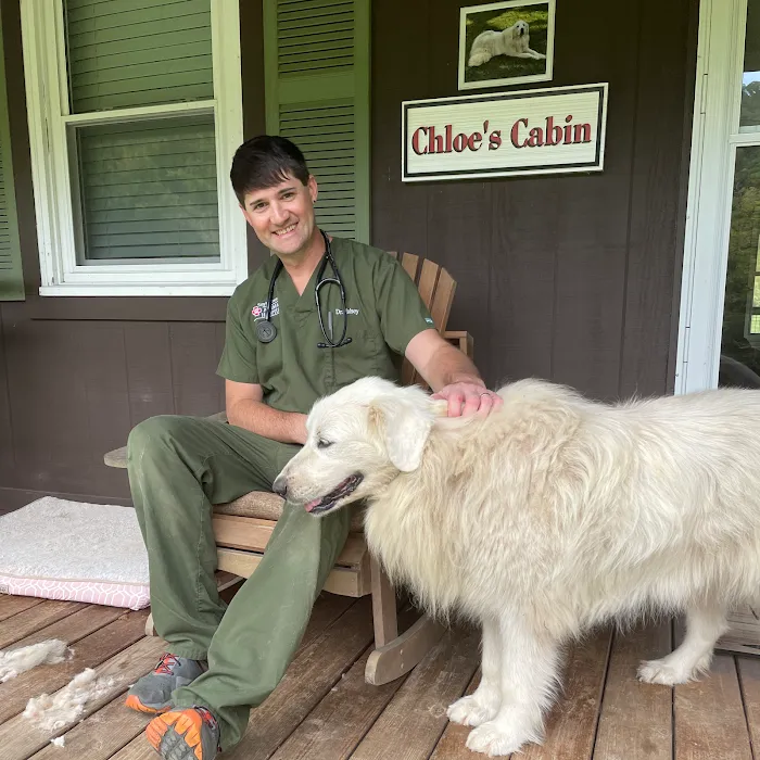 Smyth County Animal Hospital 12