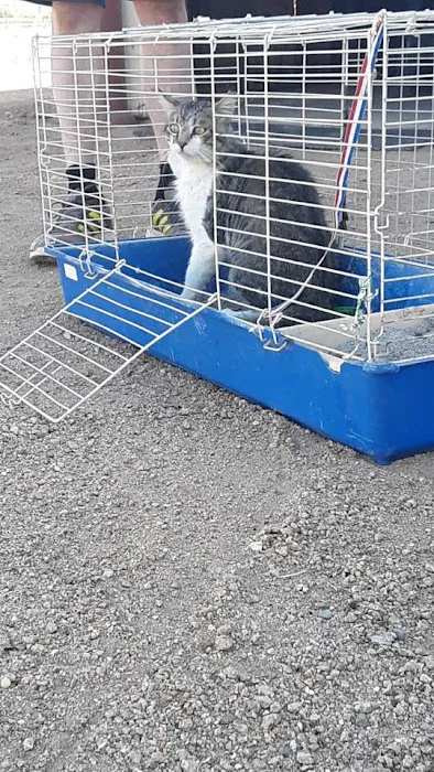 Animal Friends of the Valleys Spay & Neuter Clinic 5
