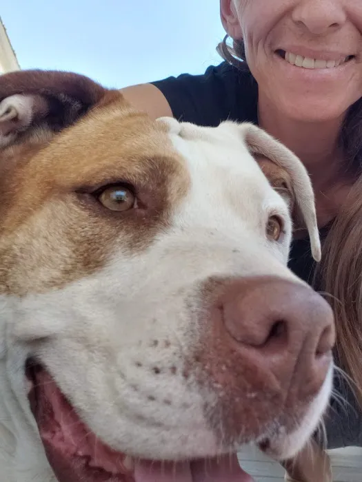 Animal Friends of the Valleys Spay & Neuter Clinic 9