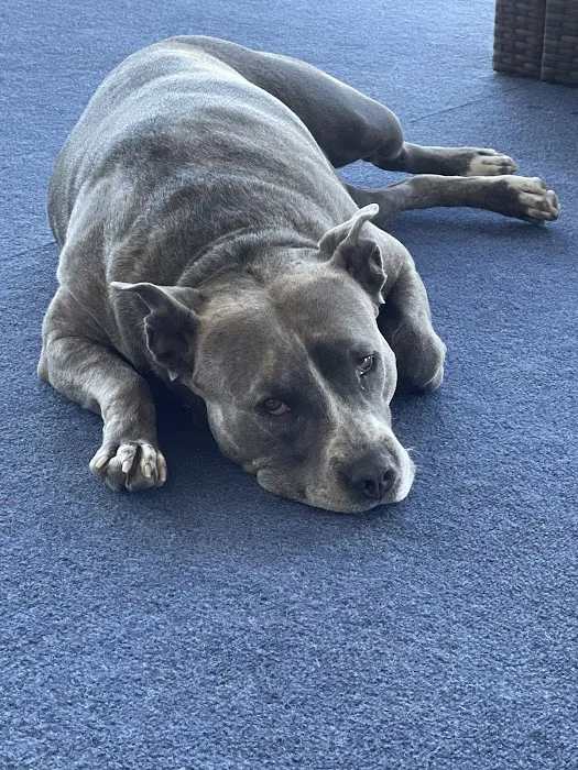 Vetco Total Care Animal Hospital 8
