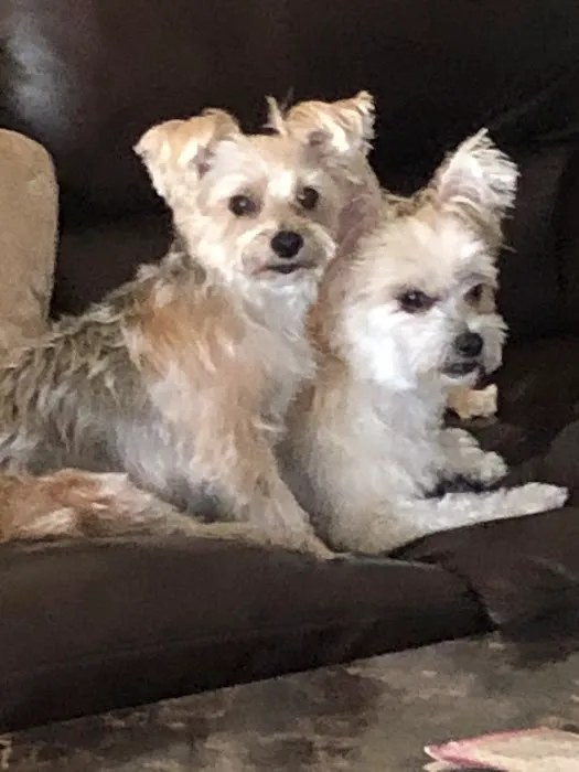 Menifee Animal Hospital 2