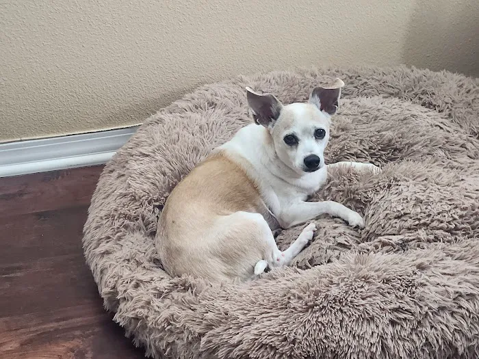 Menifee Animal Hospital 8