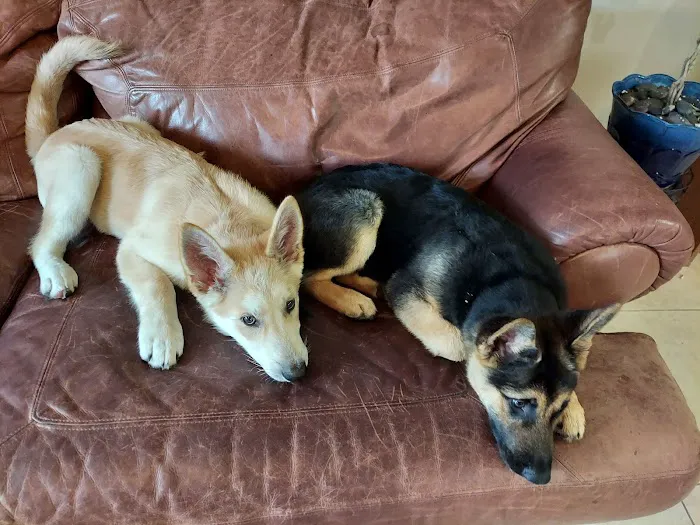 Menifee Animal Hospital 9
