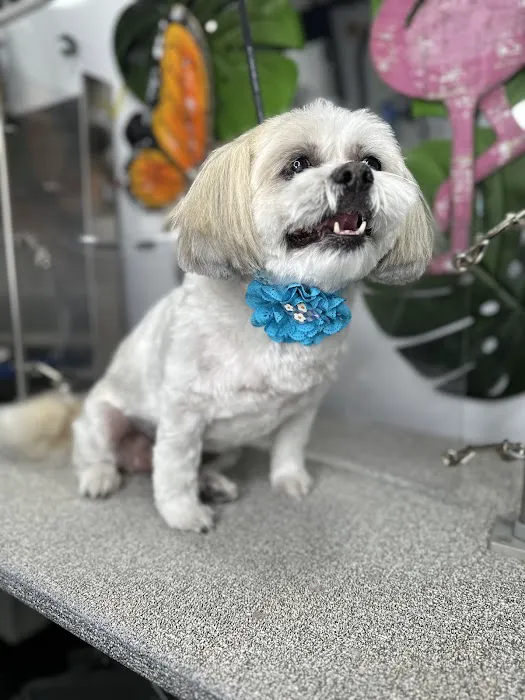 Menifee Animal Hospital 1