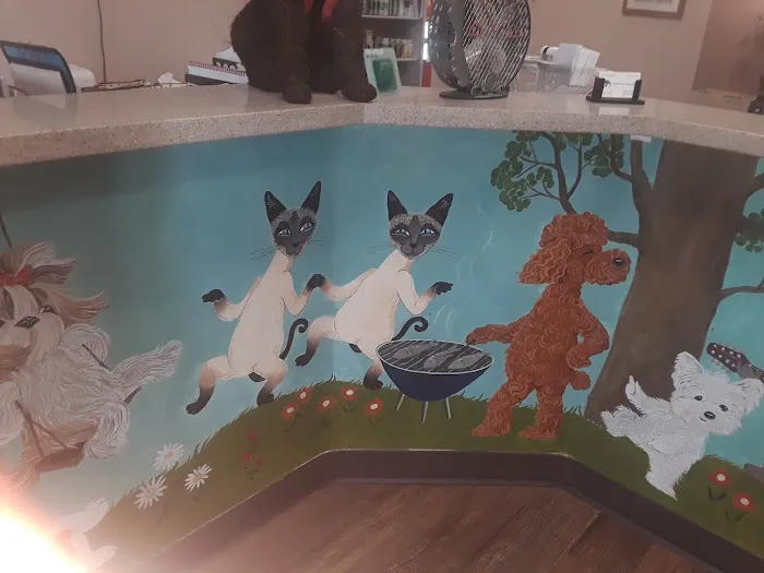Menifee Valley Animal Clinic 7