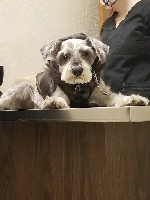 Sun City Veterinary Clinic 10
