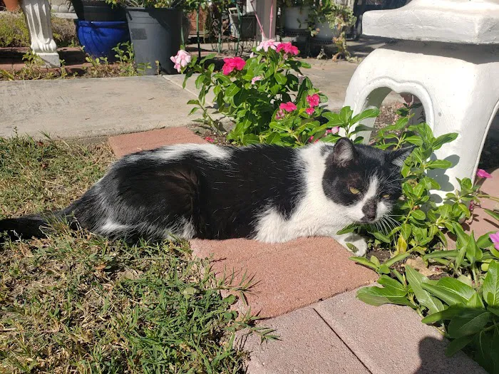 Sun City Veterinary Clinic 3