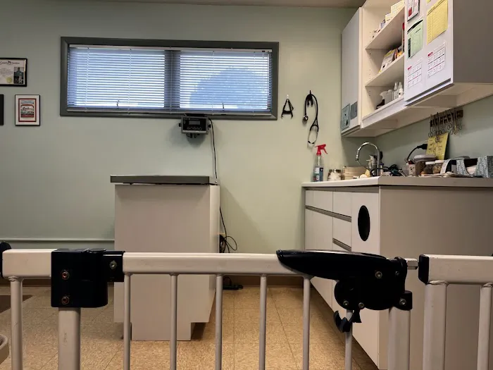Stratford Animal Hospital 12