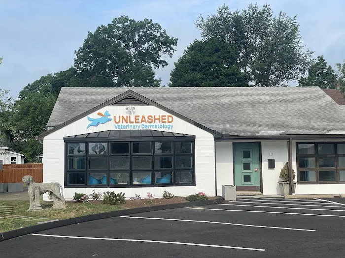Unleashed Veterinary Dermatology 12