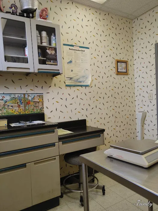 Barnum Animal Hospital 12