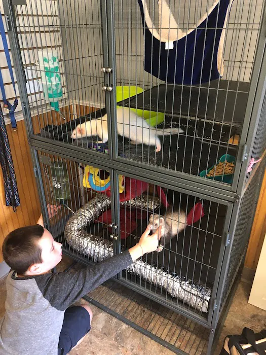 Snowflake Pet Center 12