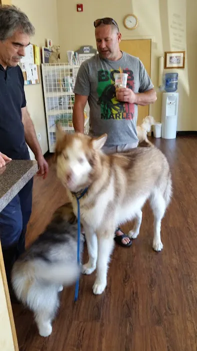 Companion Animal Hospital of Milford 12
