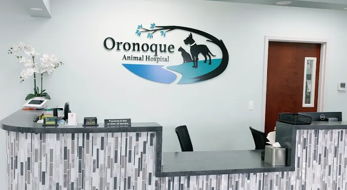 Oronoque Animal Hospital 12
