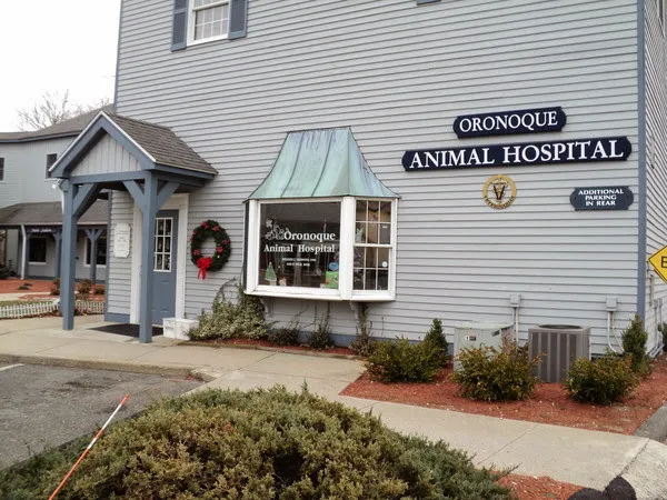 Oronoque Animal Hospital 12
