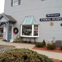 Oronoque Animal Hospital ico