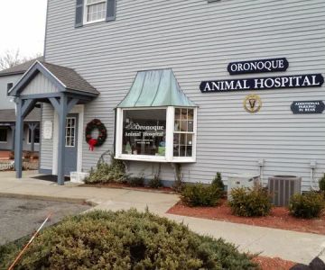 Oronoque Animal Hospital