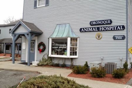 Oronoque Animal Hospital