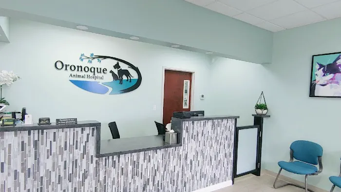 Oronoque Animal Hospital 12