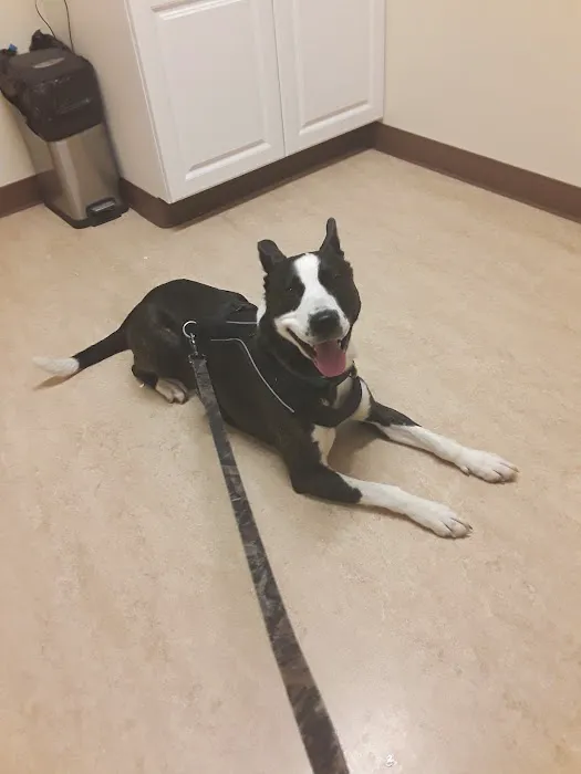 Valley Veterinary Services 12