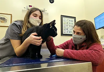 Pittsfield Veterinary Hospital 12