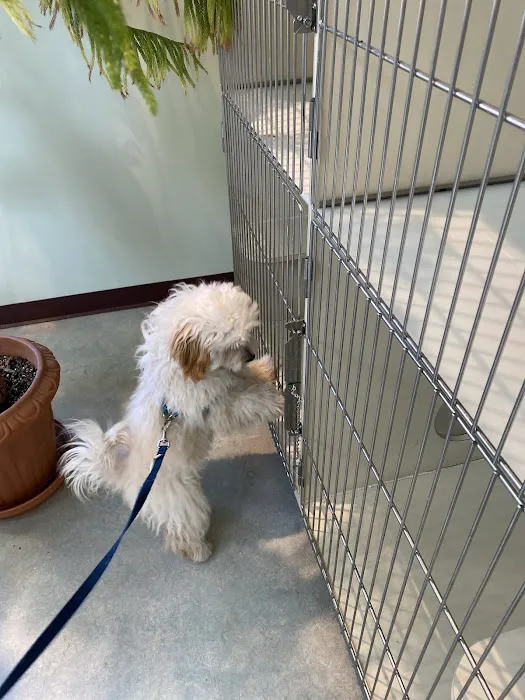 Canton Animal Hospital LLC 8