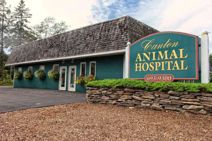 Canton Animal Hospital LLC 9