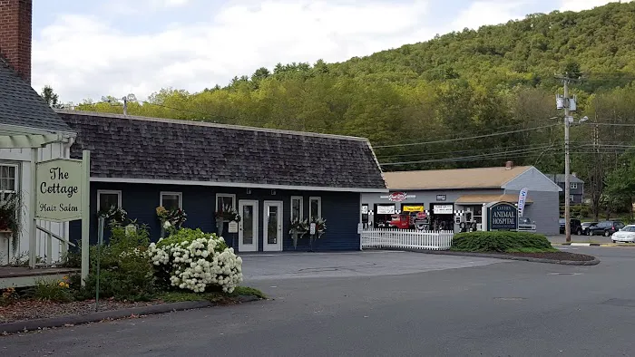 Canton Animal Hospital LLC 6