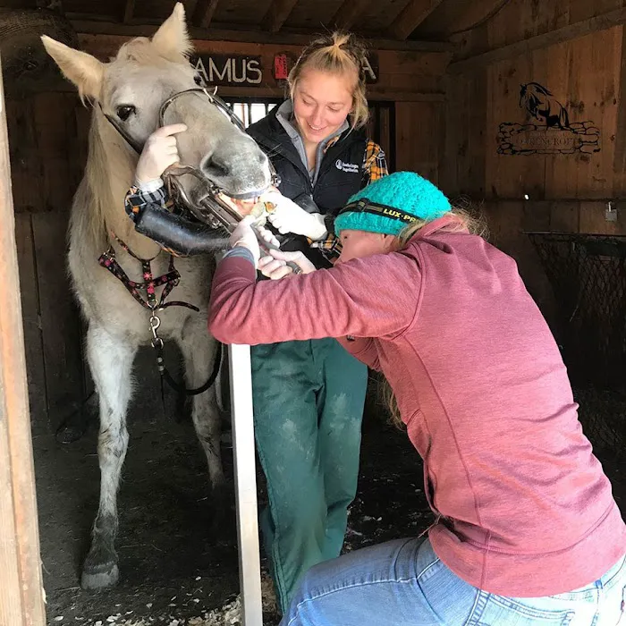 Equine Clinic At Oakencroft 12