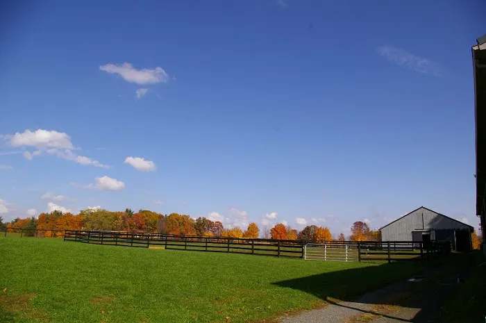 Equine Clinic At Oakencroft 12