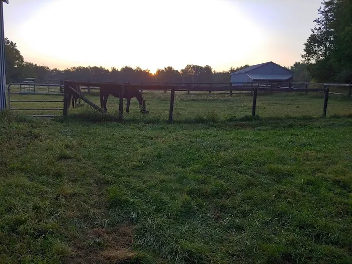 Equine Clinic At Oakencroft 12