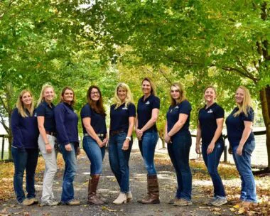 Equine Clinic At Oakencroft 12
