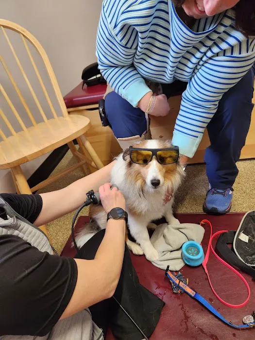 Alternative Veterinary Therapies 12