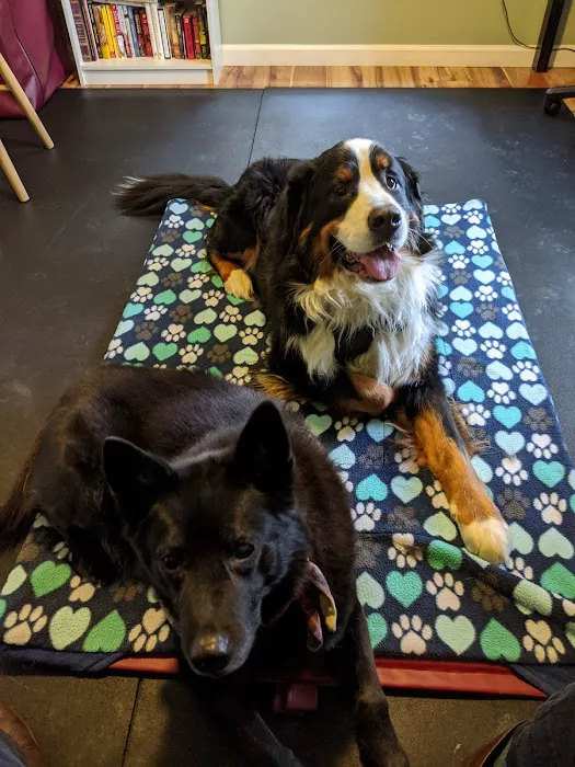 Alternative Veterinary Therapies 12