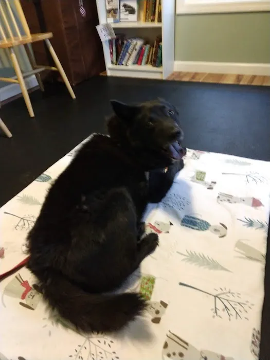 Alternative Veterinary Therapies 12