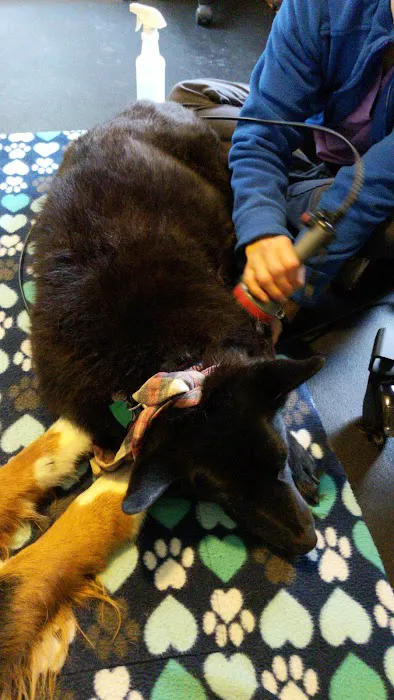 Alternative Veterinary Therapies 12