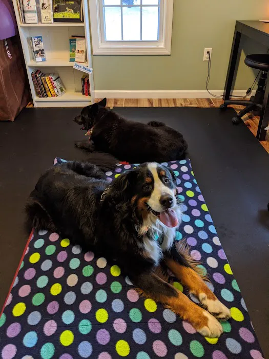Alternative Veterinary Therapies 12