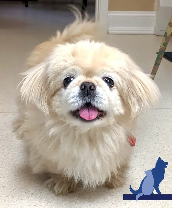 Delmar Animal Hospital 2