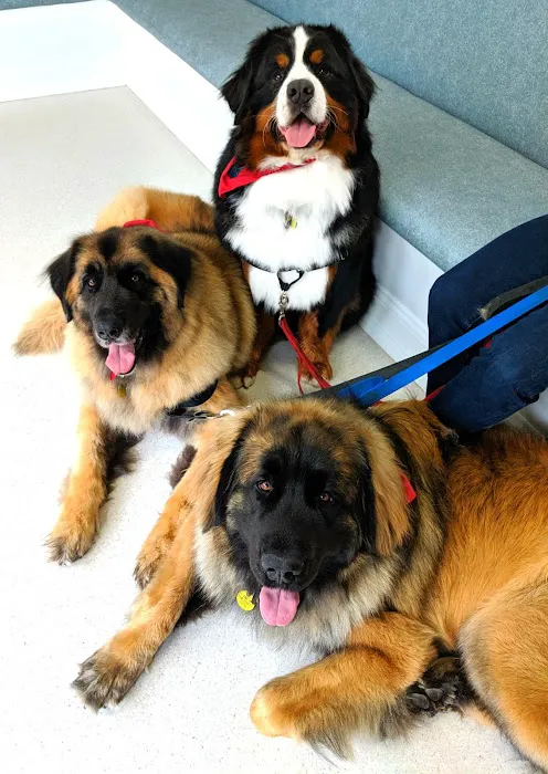 Delmar Animal Hospital 6