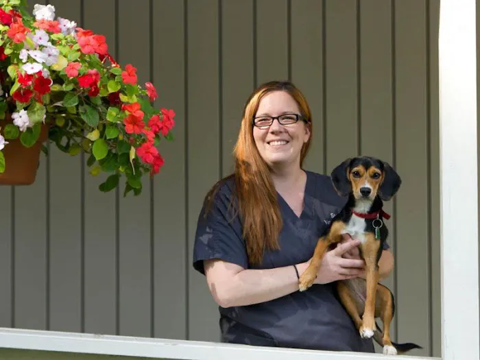 Delmar Animal Hospital 7