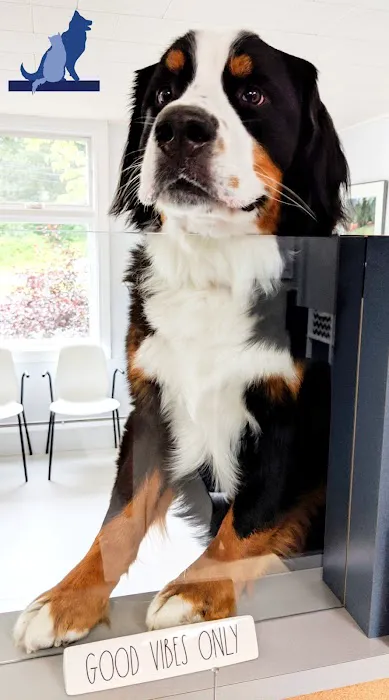 Delmar Animal Hospital 9
