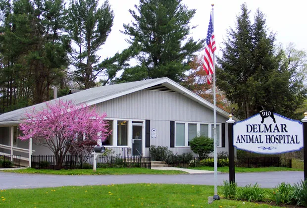 Delmar Animal Hospital 8