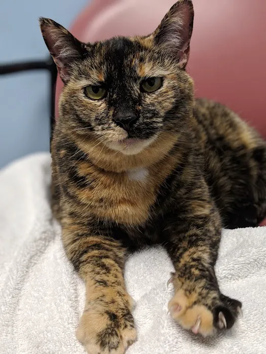 Nassau Veterinary Clinic 12