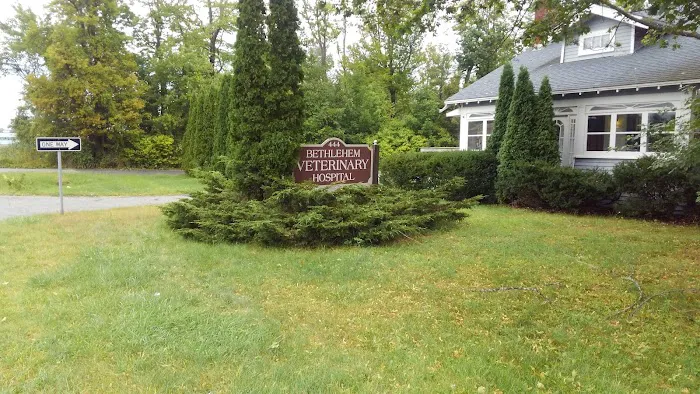 Bethlehem Veterinary Hospital 12