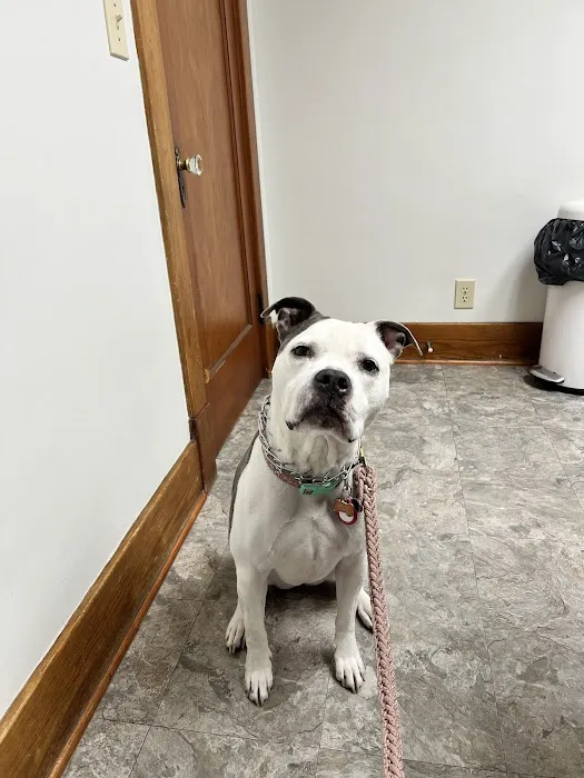Bethlehem Veterinary Hospital 12