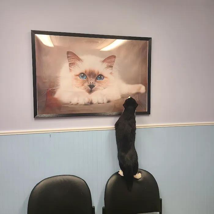 Drumm Veterinary Hospital 12